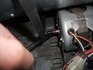 image twelve